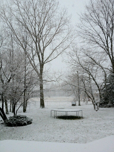 Trampoline-in-Winter